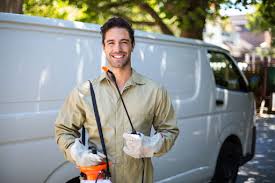 Best Termite Inspection and Treatment  in Byron, CA